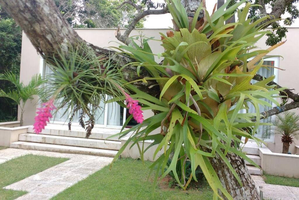 Buzios Requinte&Sofisticação Vila Exterior foto